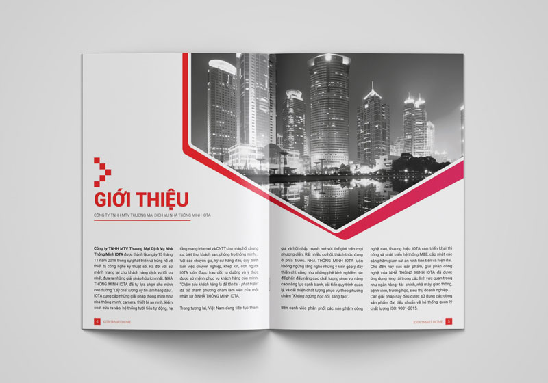 Giới thiệu công ty (nguồn: hosonangluc.vn)
