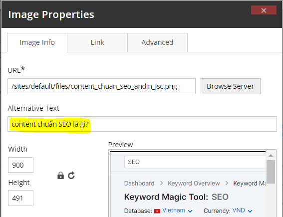 content chuẩn seo là gì ?
