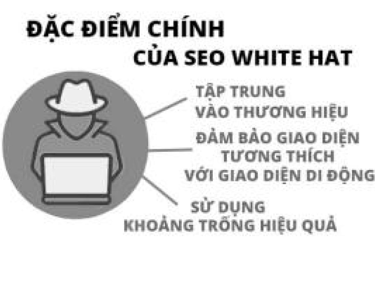Các yếu tố tạo nên seo white hat Các yếu tố tạo nên seo white hat